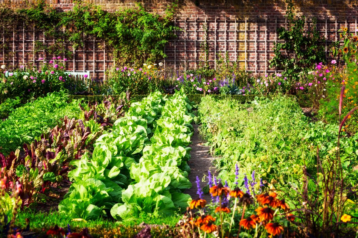 A beautifully manicured combined edible and aesthetic landscape