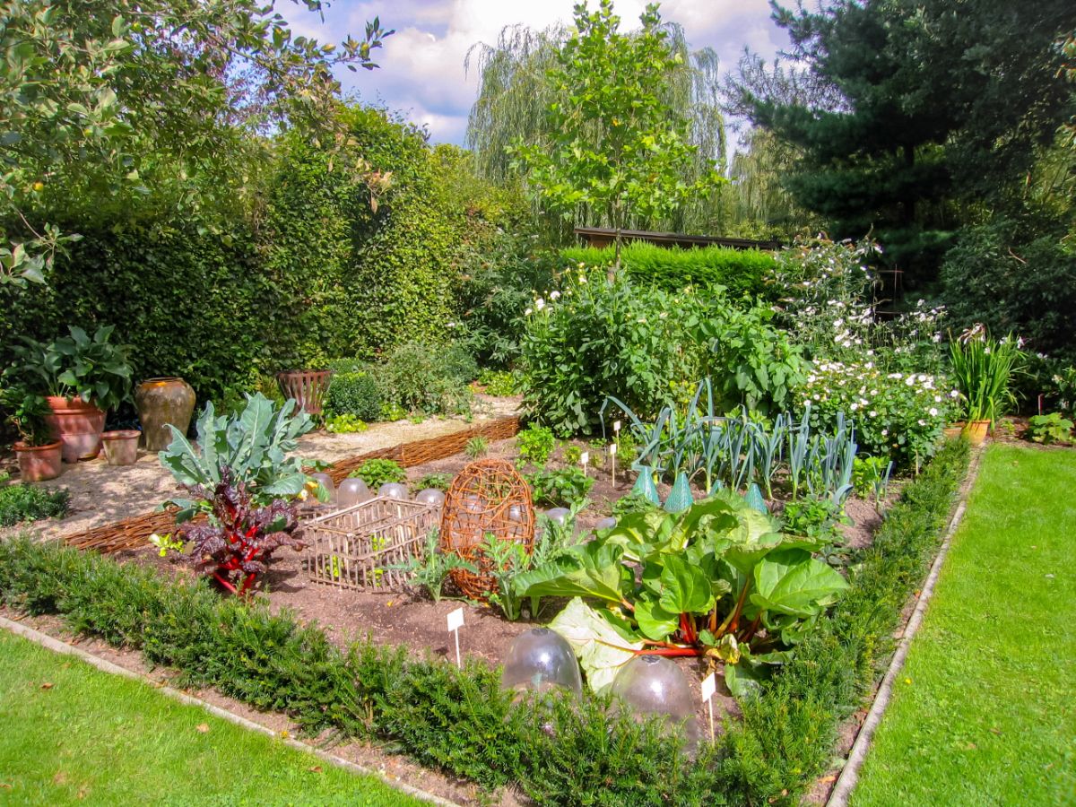 A nicely bordered edible landscape garden
