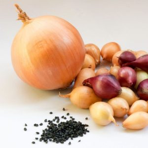 Full grown onion with bulbs and seeds on white background