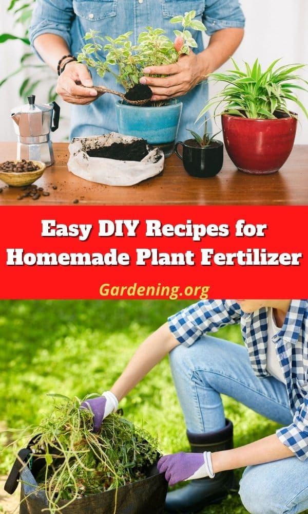 Make your own nettle fertiliser - Mud & Bloom