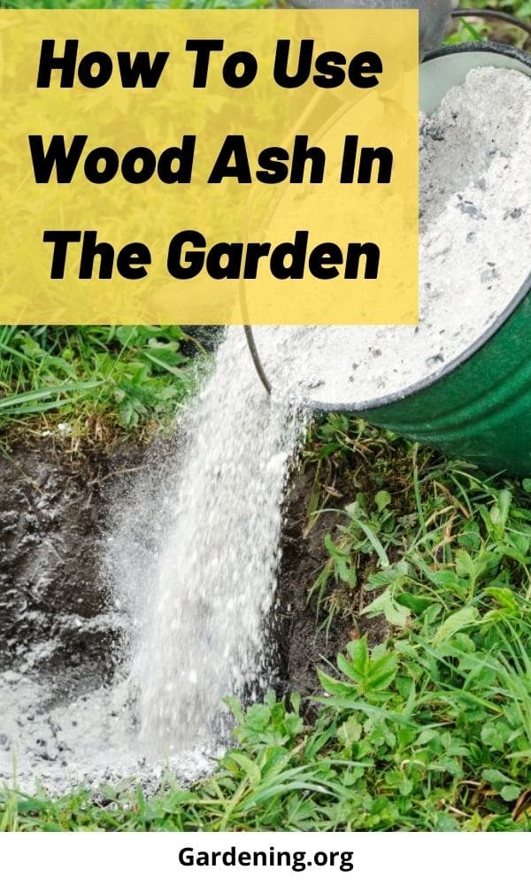 Is Wood Ash Good For The Garden? - Conserve Energy Future