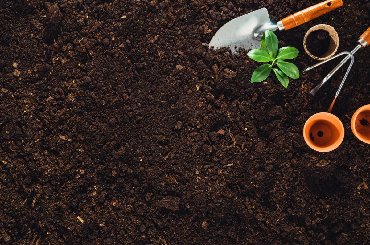 Bare patch of soil surrounded by pots and planting tools