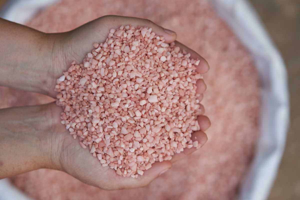 Hands holding pink pelletized potassium