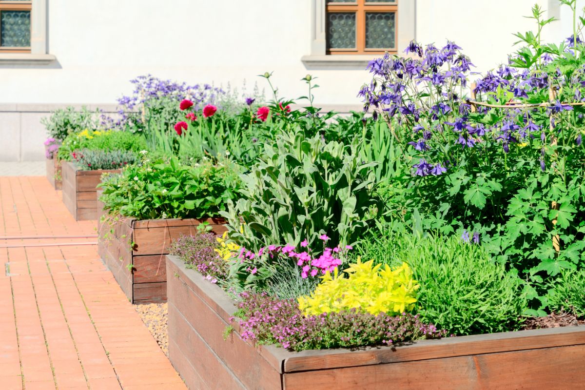 Edible plants incorporated into existing flower beds