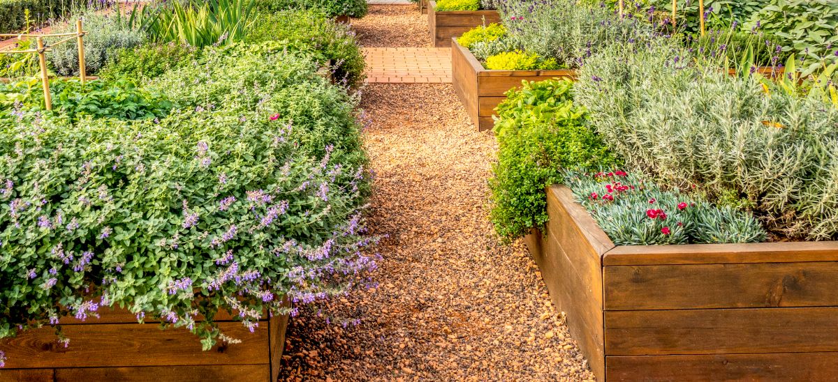 Nicely designed raised garden beds with flowers and edible plants