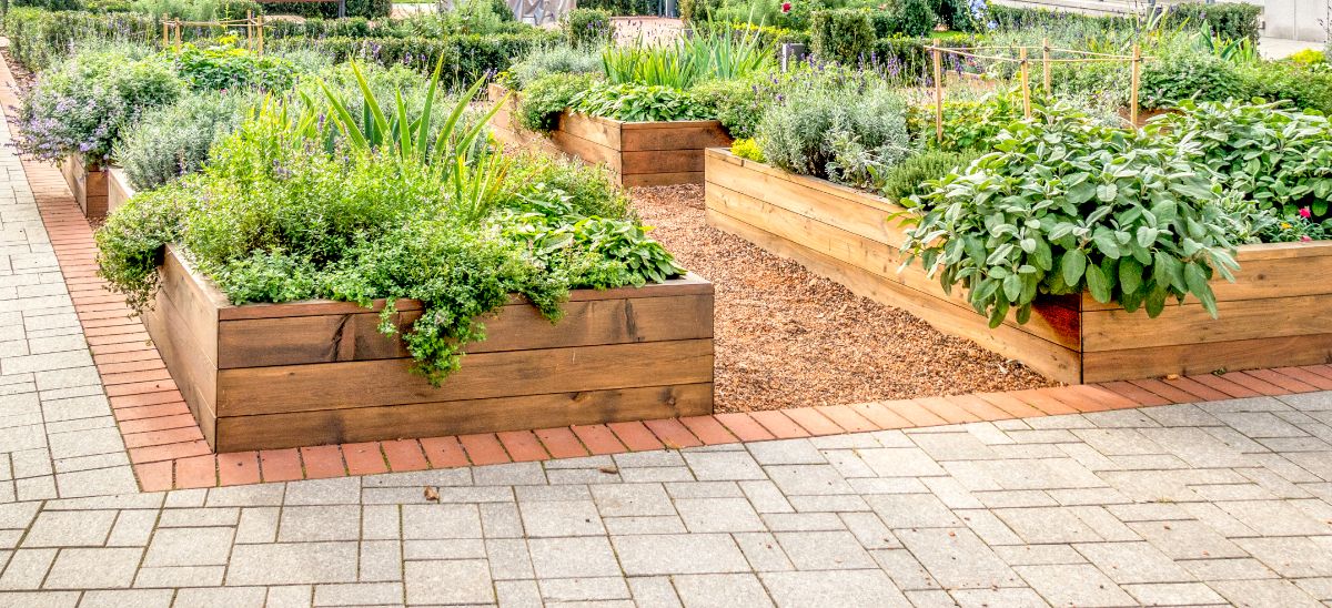 Raised beds inside a bricked and graveled path