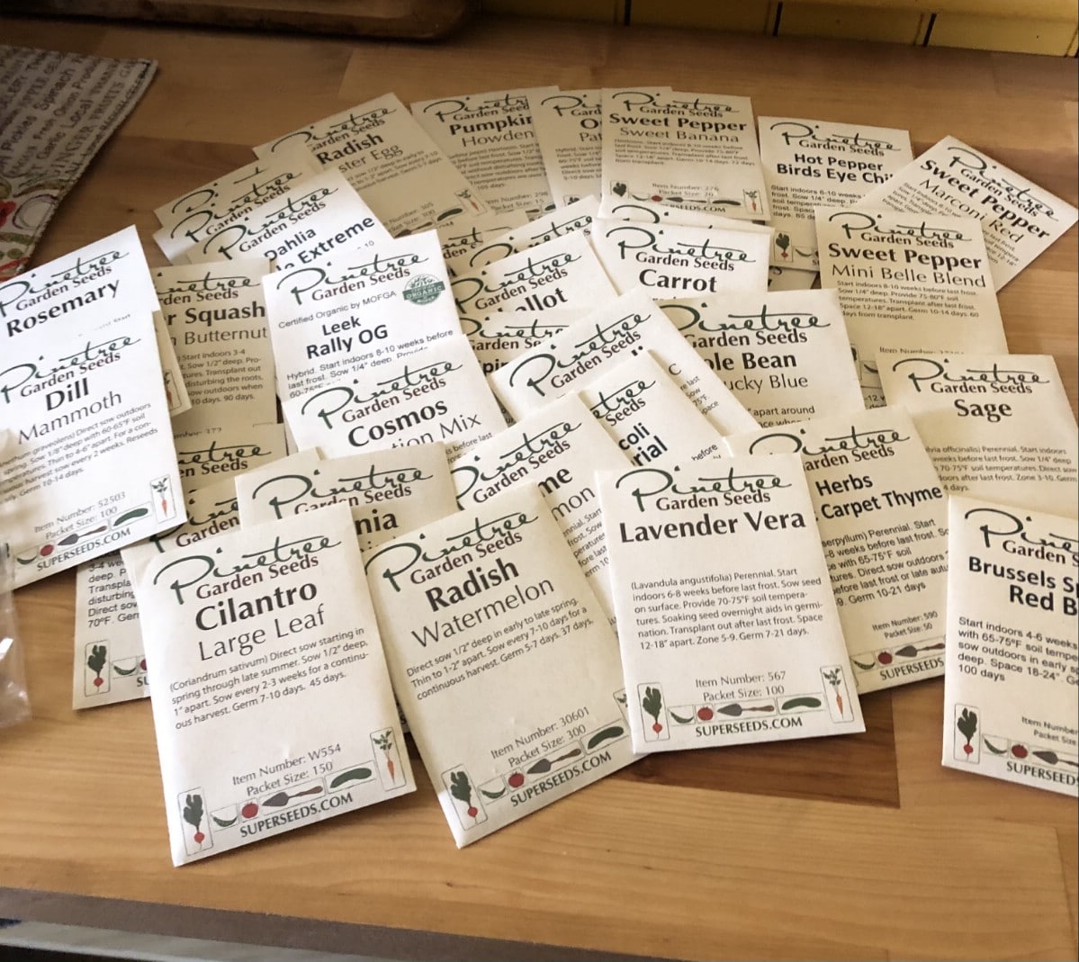 a collection of seeds ready for planting