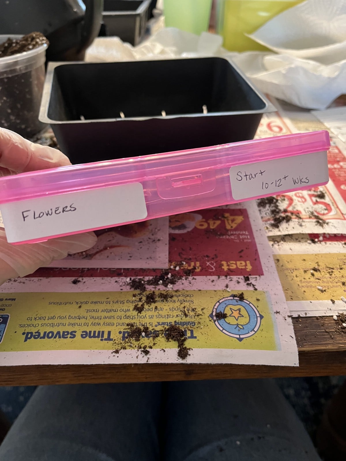 Plastic craft container used for storing and sorting seeds