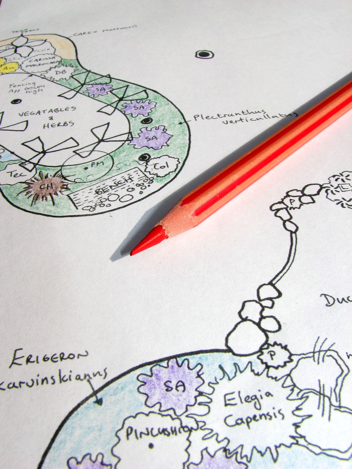 Hand-drawn garden and landscape layout