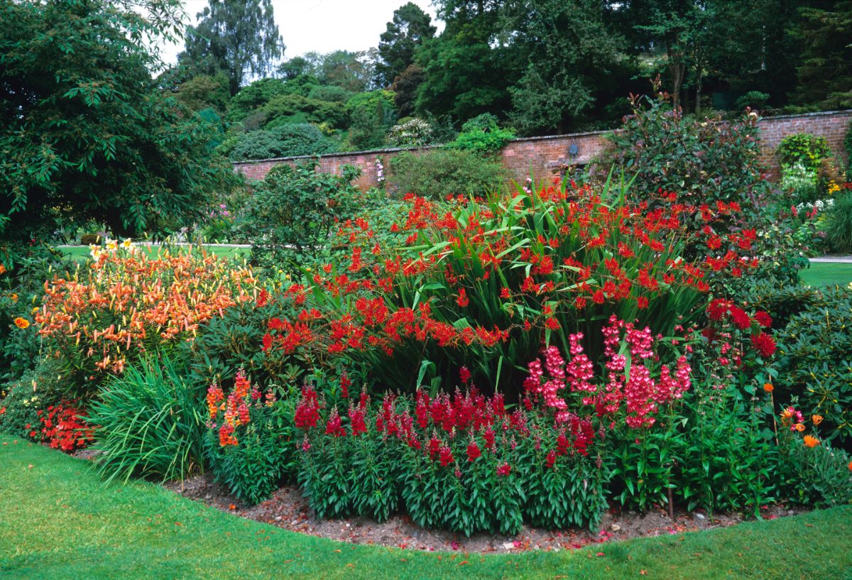 Full blossoming cottage garden