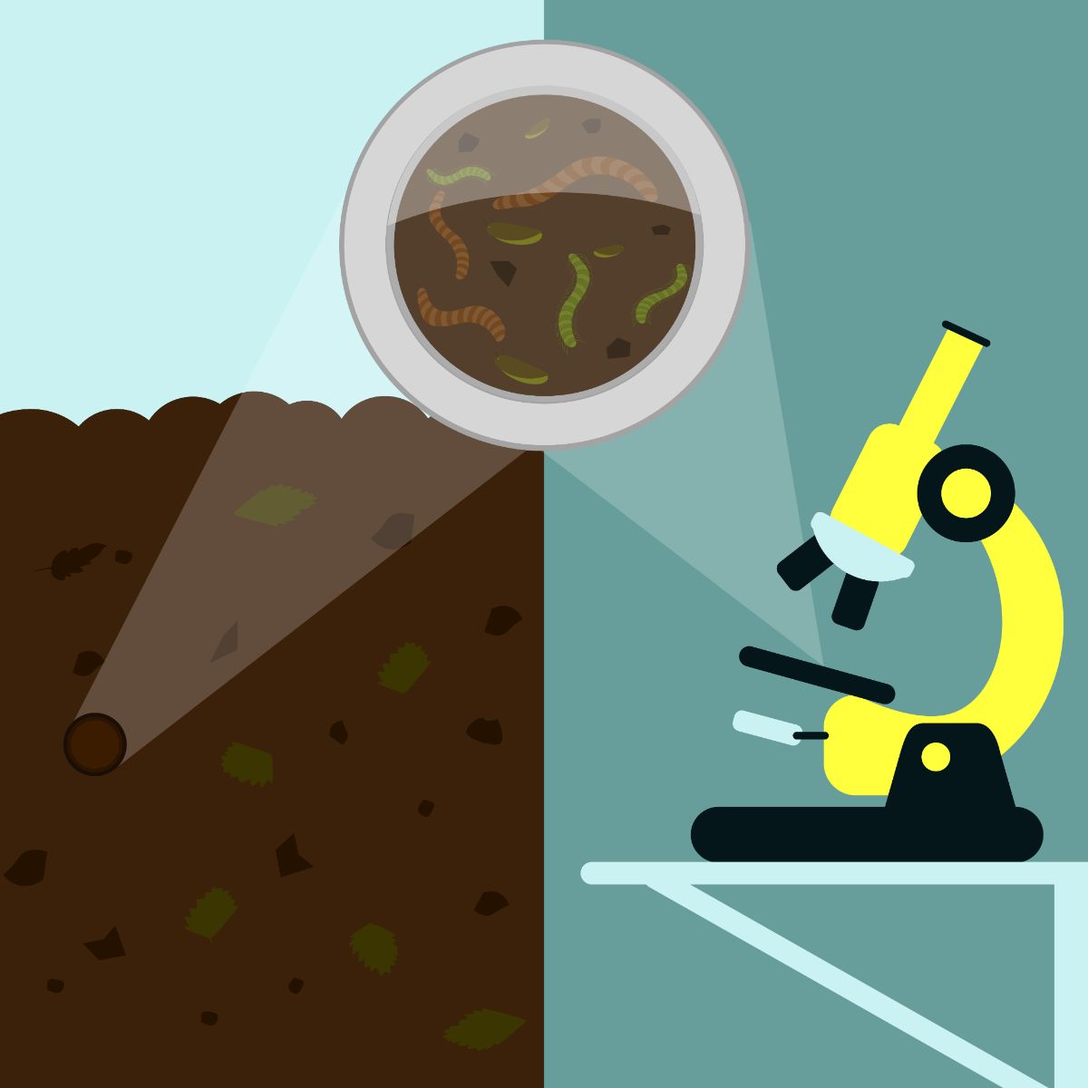 Image showing a cartoon microscope and soil