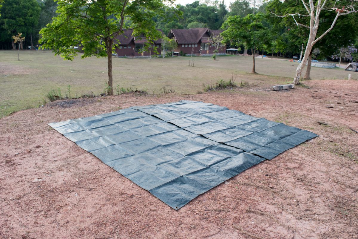 Black tarps laid over ground to solarize and kill weed seeds