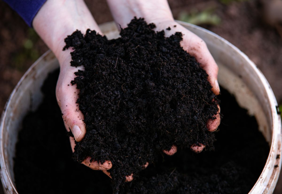 Hands holding healthy, dark compost