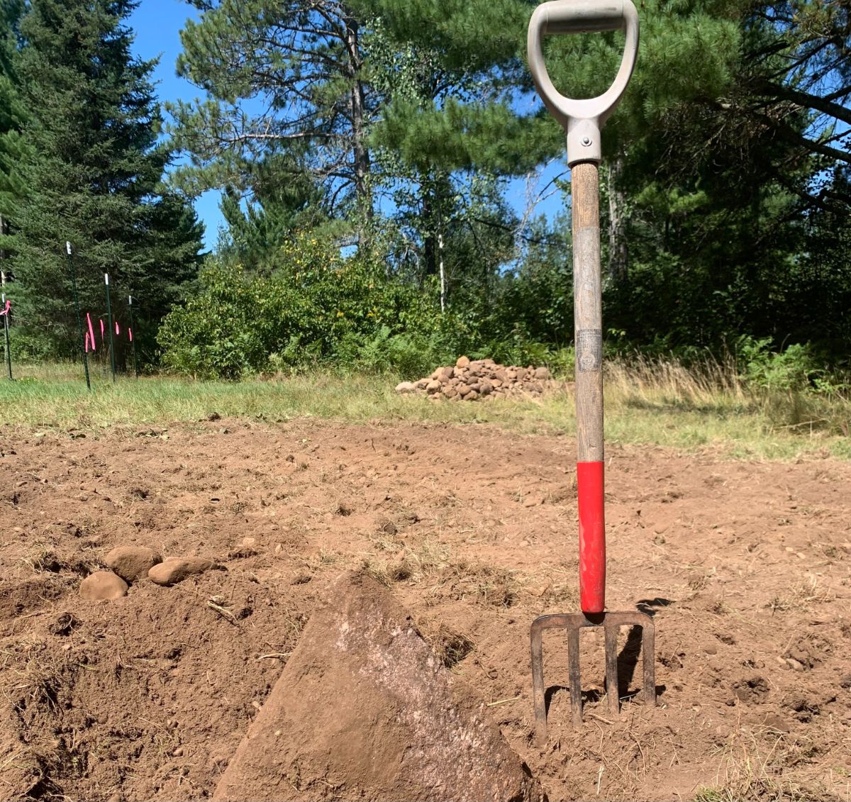 Pitch fork next to a large rock in a new garden bed