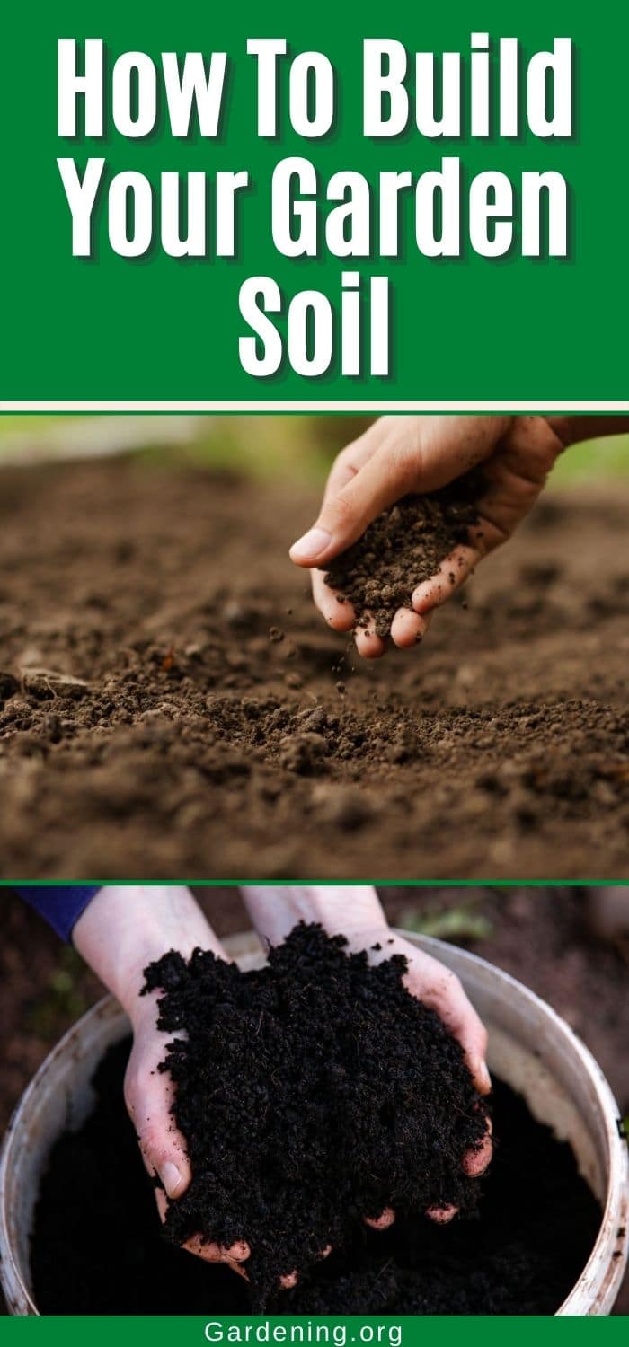 How To Build Your Garden Soil (Expert Guide) - Gardening