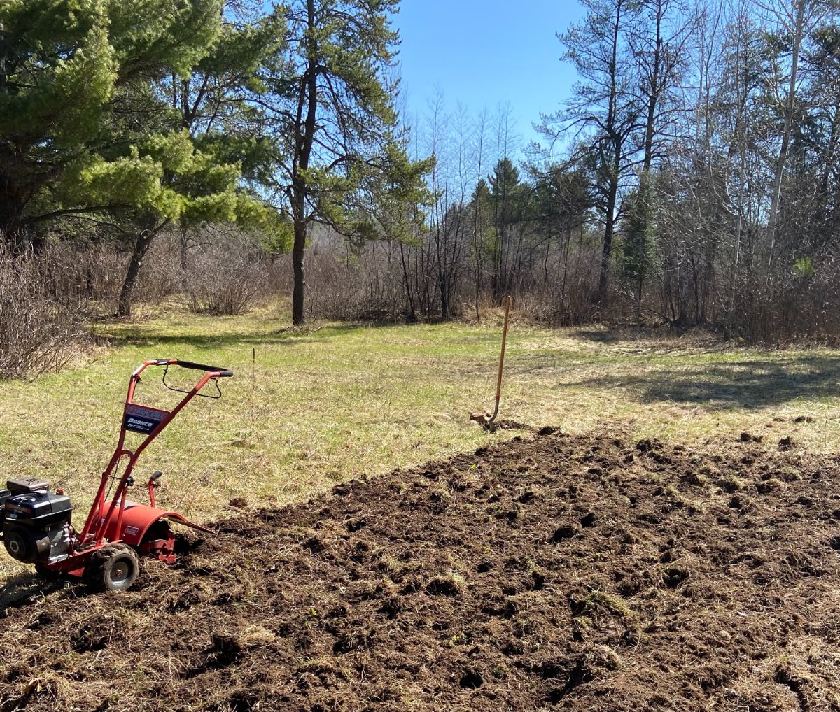 A freshly tilled garden bed made out of a patch of grass