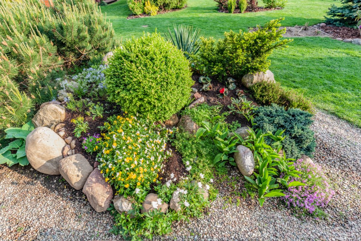 Rock garden with rocks as features interplanted with various perennials