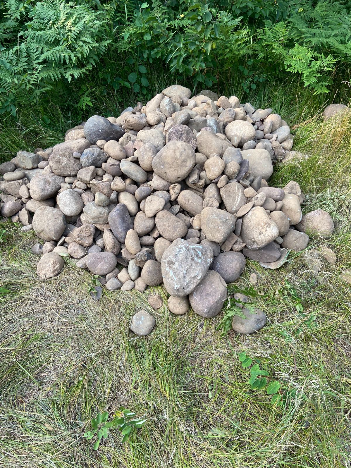 A pile of rocks picked from a new garden bed