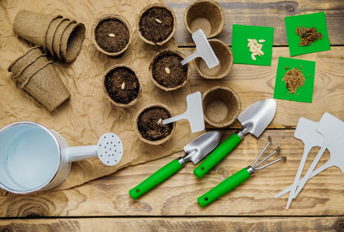 Seed and seed starting supplies laid out for planting