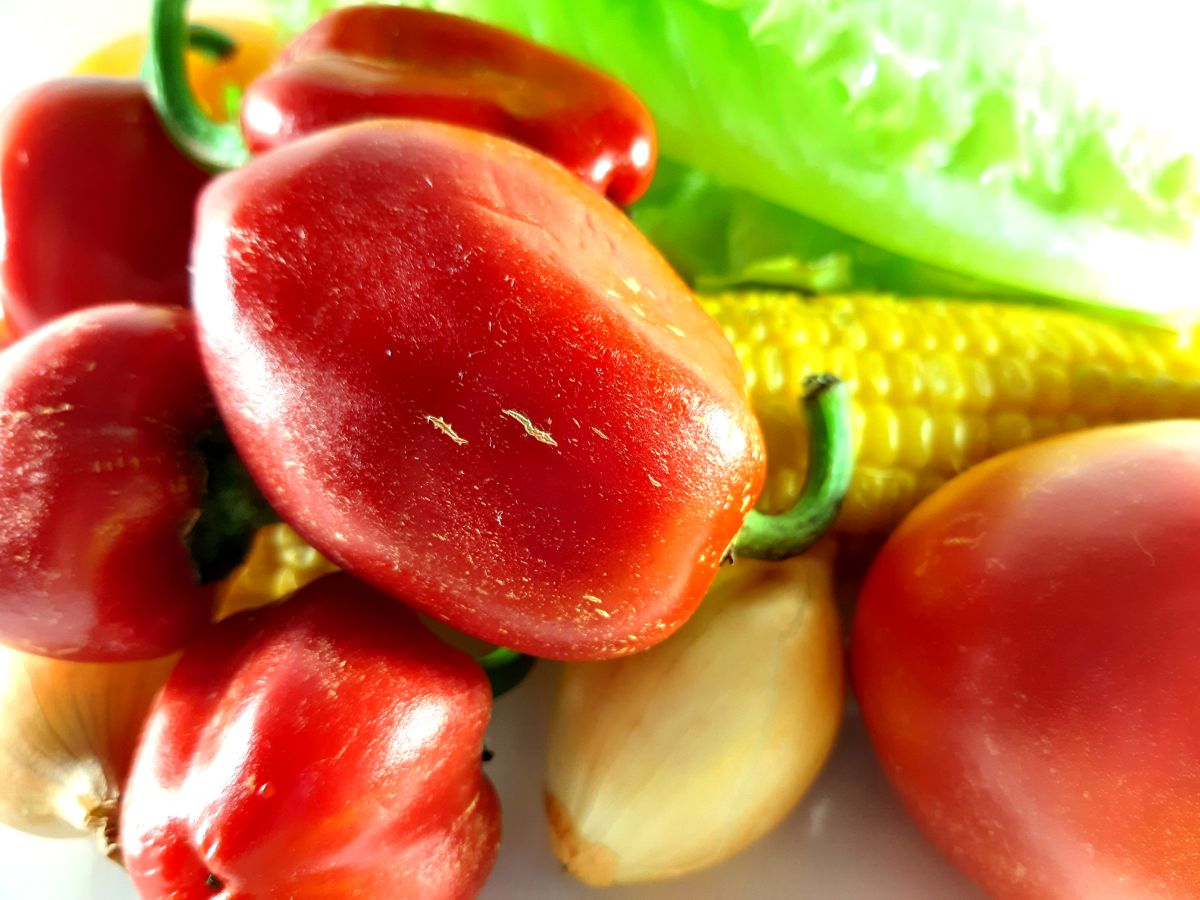 Fresh tomatoes with an onion and corn on the cob