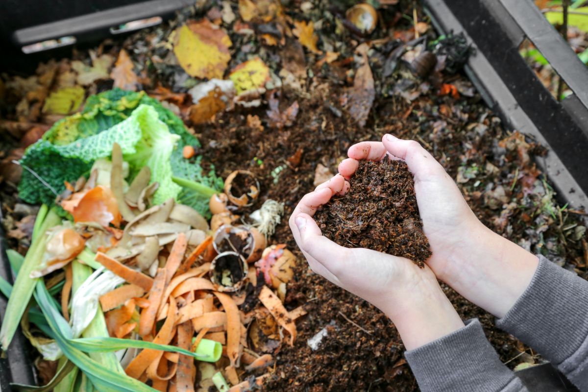 Hands holding compost in a heart shape over a bin of vermicompost
