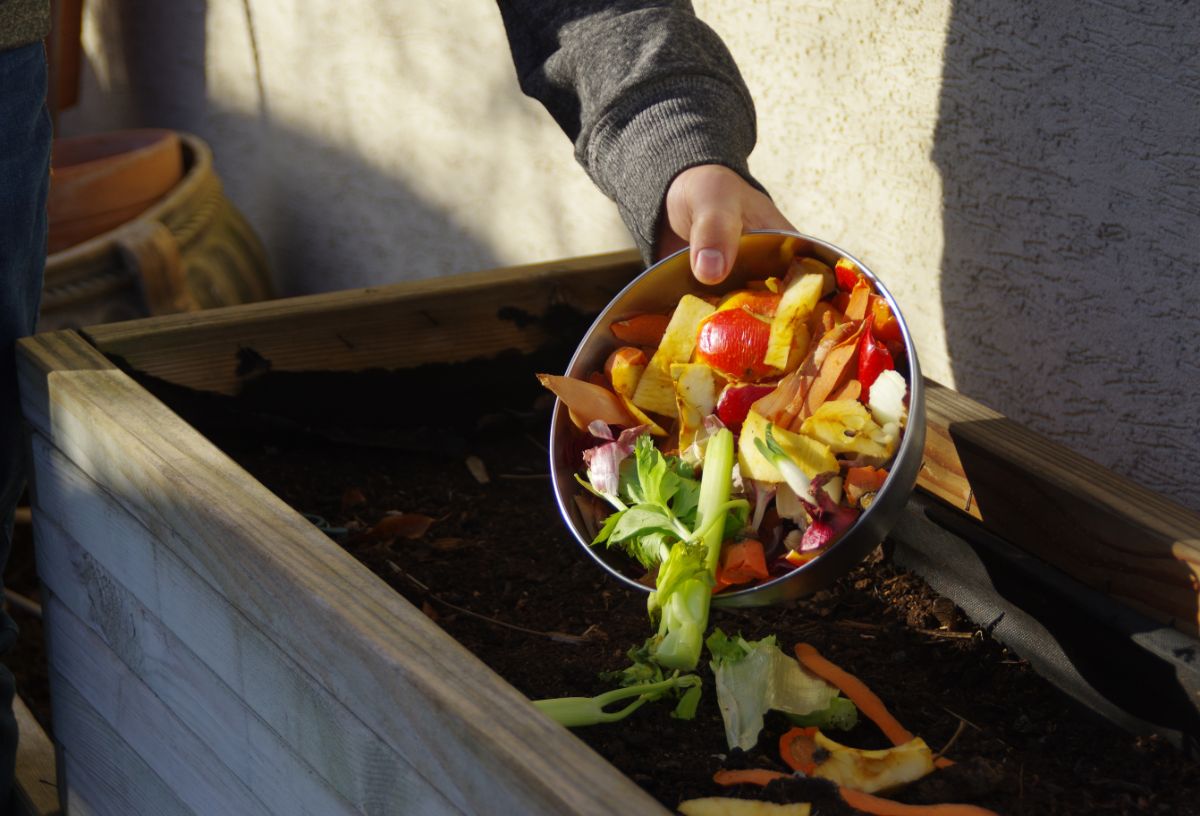 Person adding kitchen waste to a worm bin