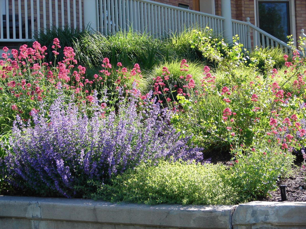 A pollinator garden atop a retaining wall area