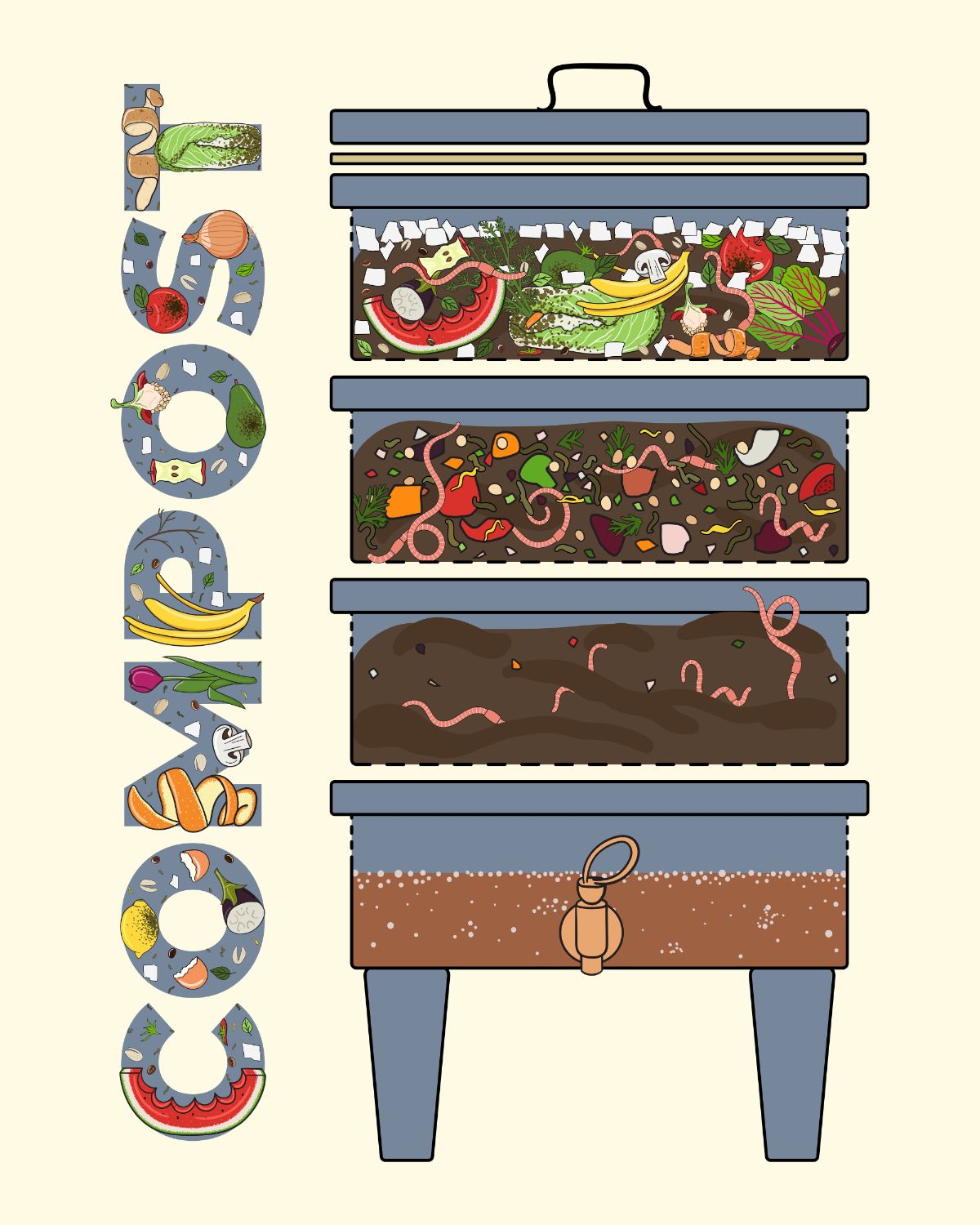 Graphic showing the layers of a worm bin composting system