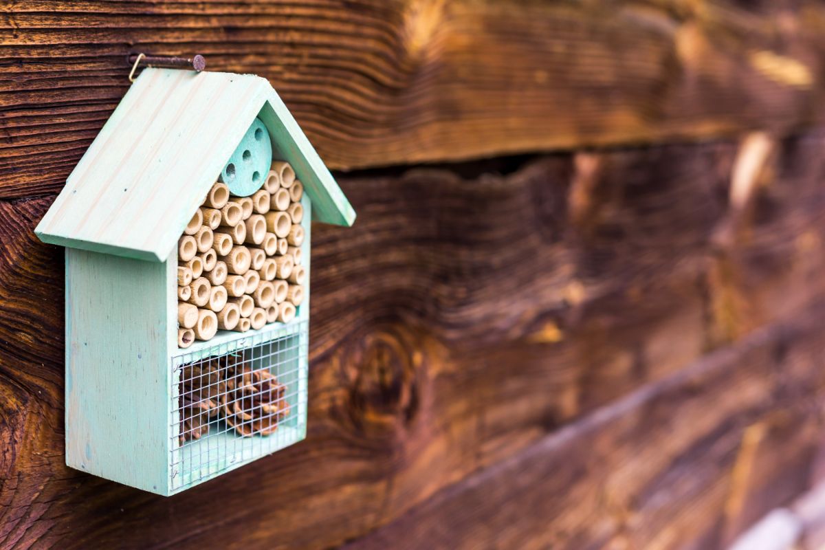 A pollinator bee house made from hollow wooden straws