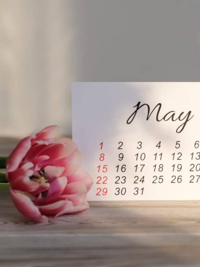 May calendar page with a flower