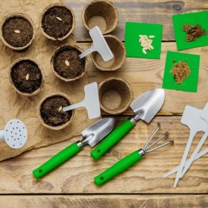 Gardening tools, seeds and seedlings on a wooden table.