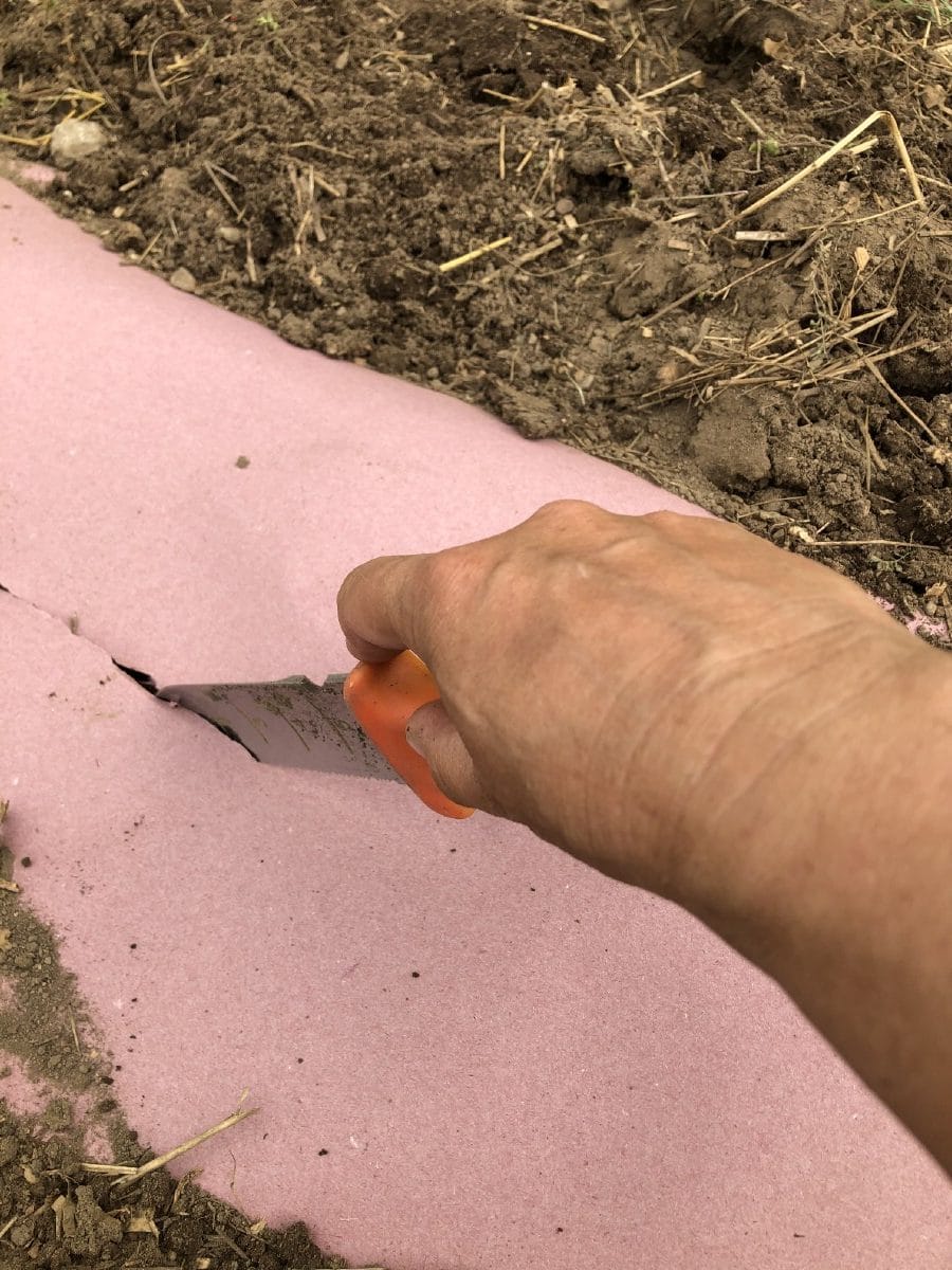 Gardener's hand cutting a line in weed paper for planting carrot seeds