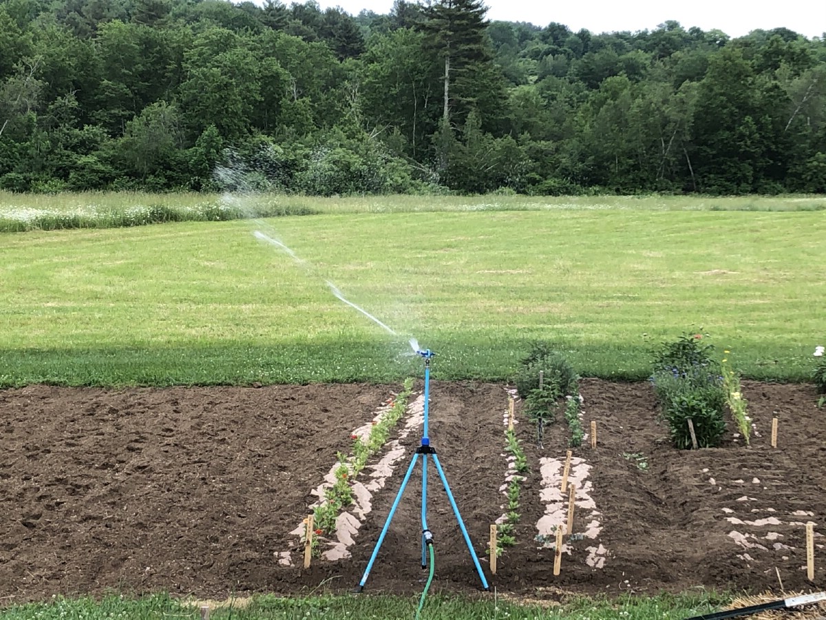 Garden sprinkler watering paper weed barrier