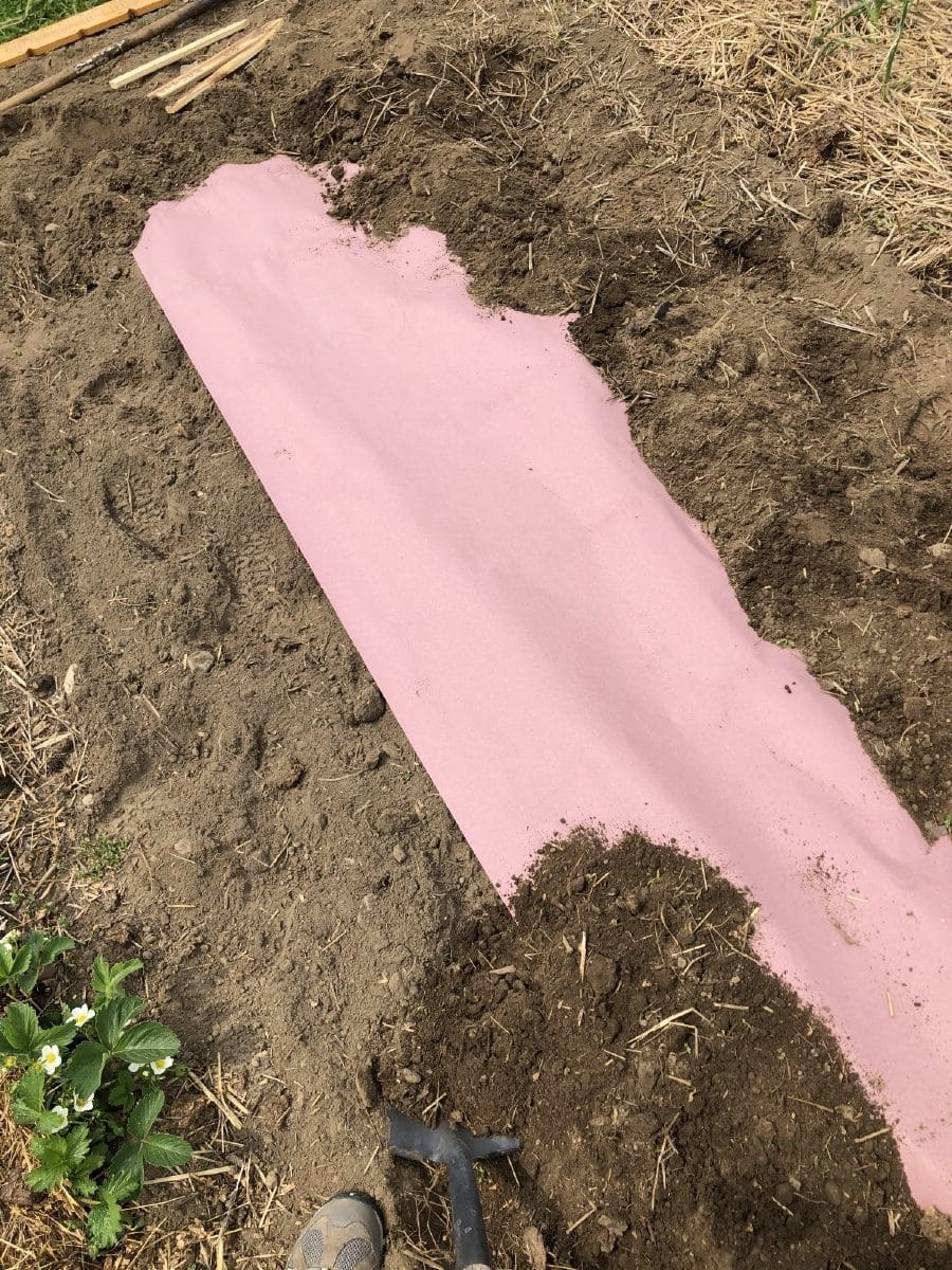 Covered edge of weed barrier paper in the garden