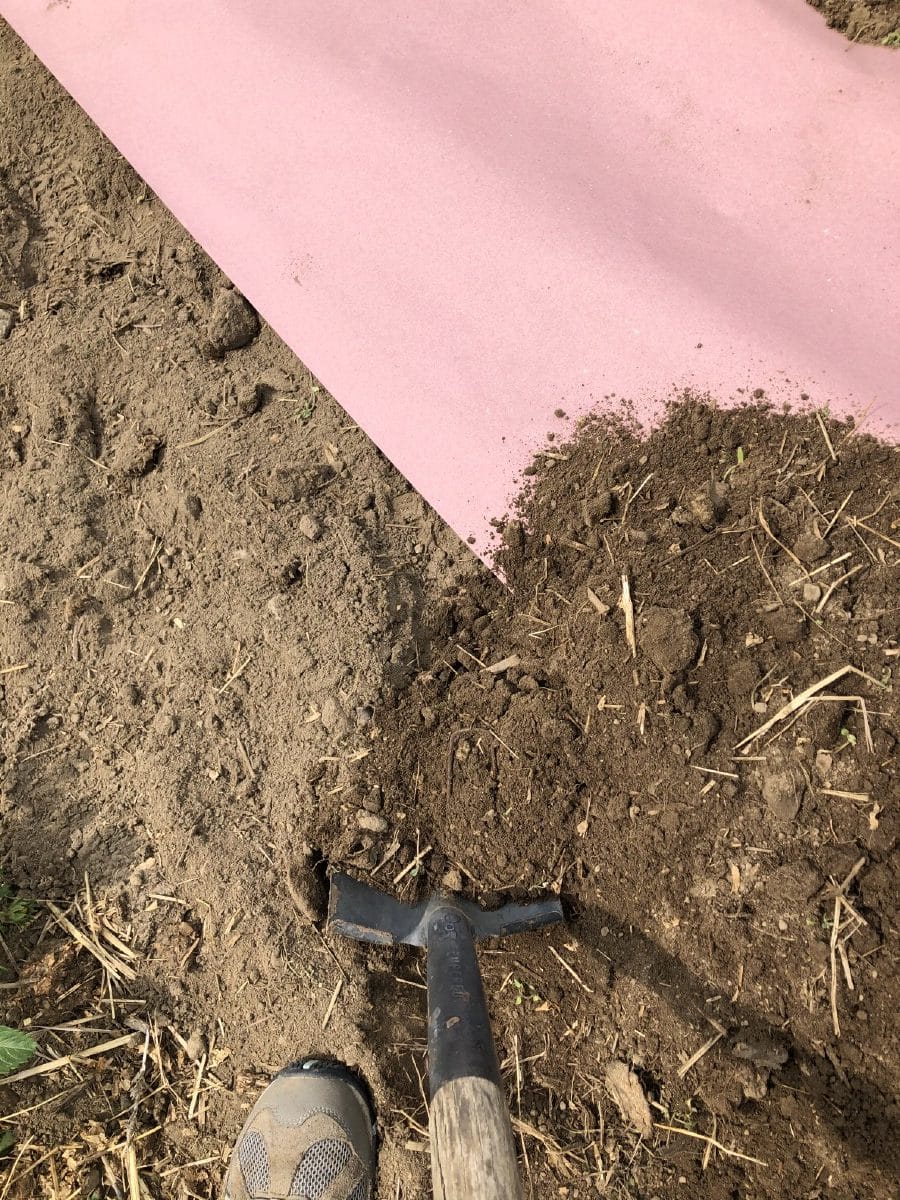 Trowel scooping loose soil over paper edge to hold it down