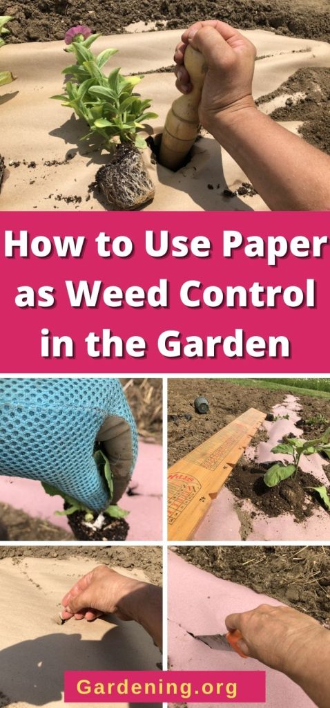 Paper weed control pin