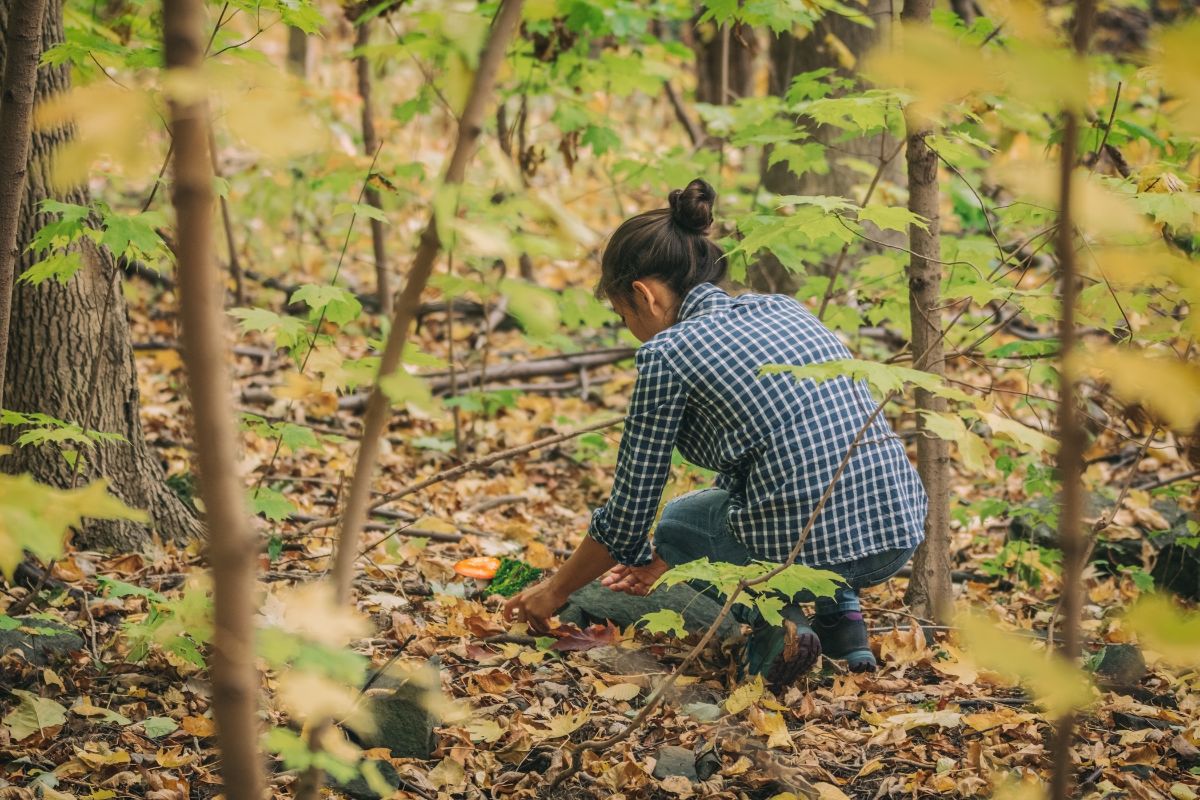 A woman foraging for free food in the woods