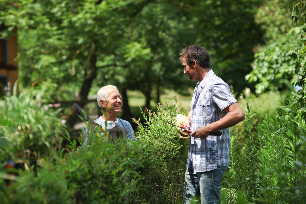 Neighbors talking over a hedge sharing extra garden plants