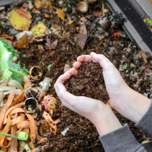 Hands holding compost over composter..