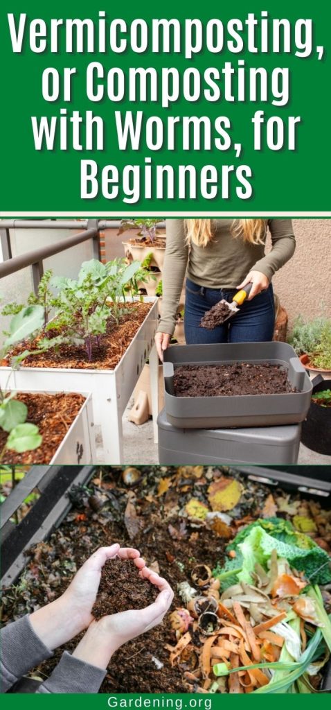 Vermicomposting, or Composting with Worms, for Beginners pinterest image.