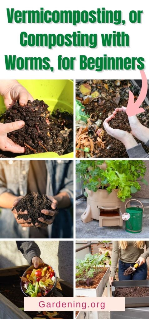 Vermicomposting, or Composting with Worms, for Beginners pinterest image.