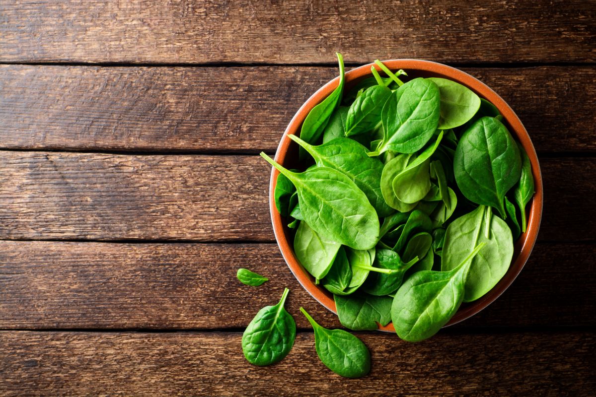 Fresh-picked baby spinach in a bowl on a wood table