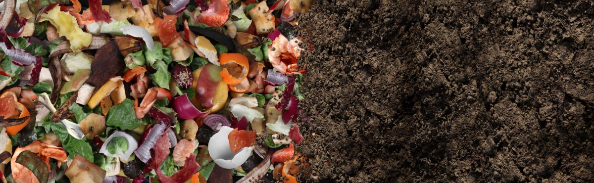 Side-by-side pictures showing food scraps and completed compost