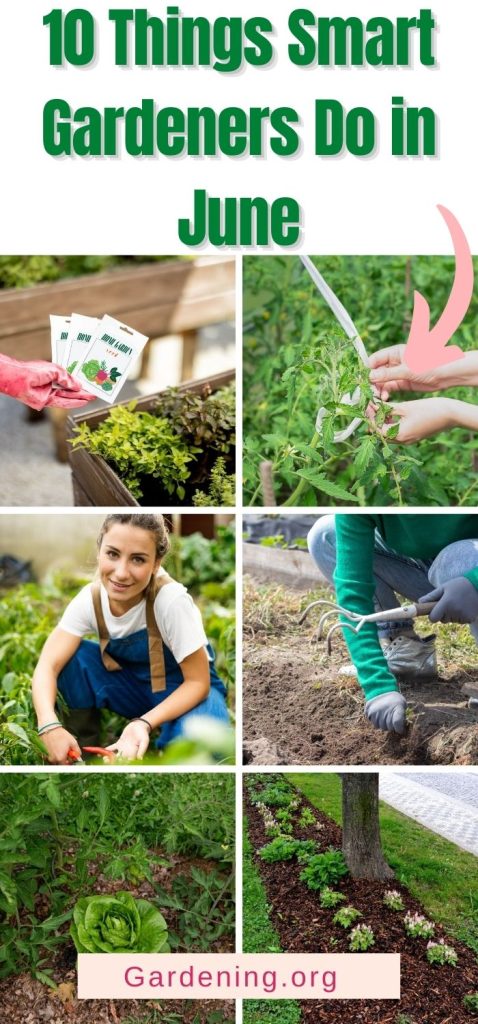 10 Things Smart Gardeners Do in June pinterest image.