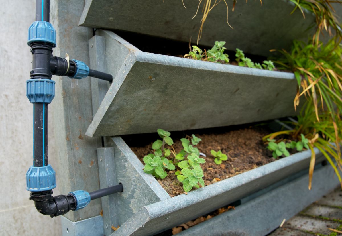 A dripline system installed on a hanging box container garden