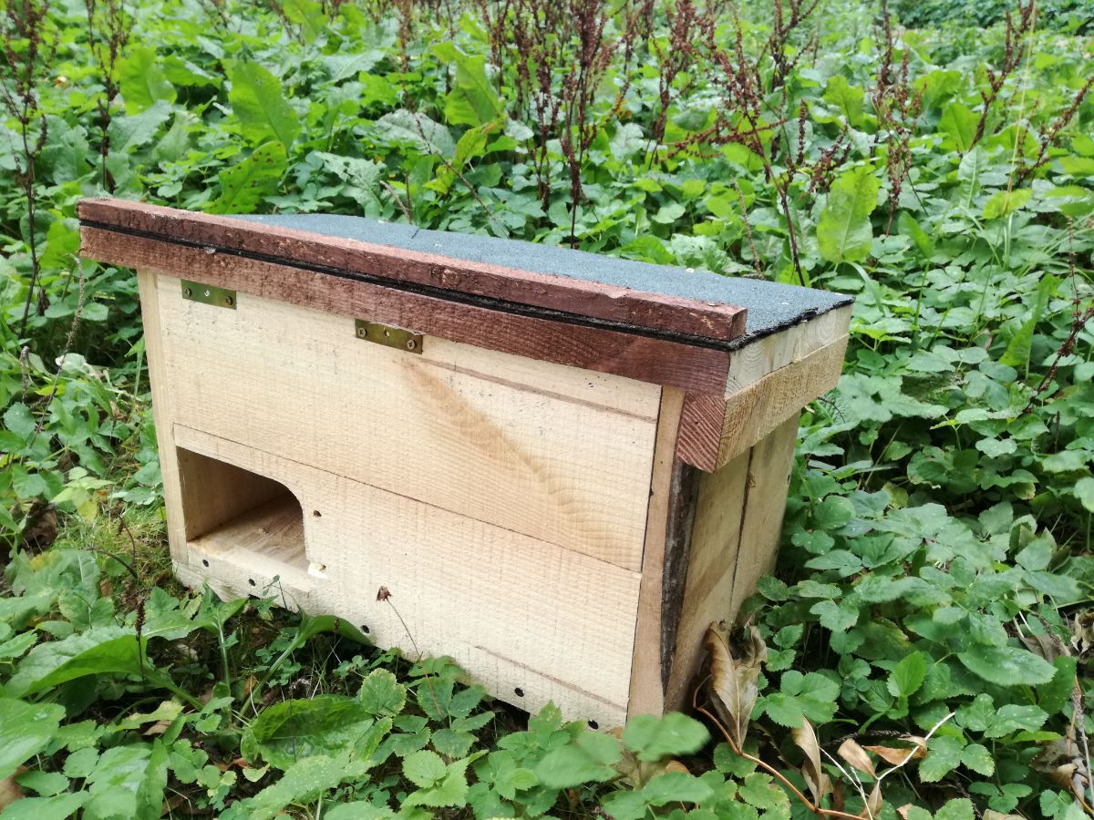 A homemade wooden hedgehog shelter