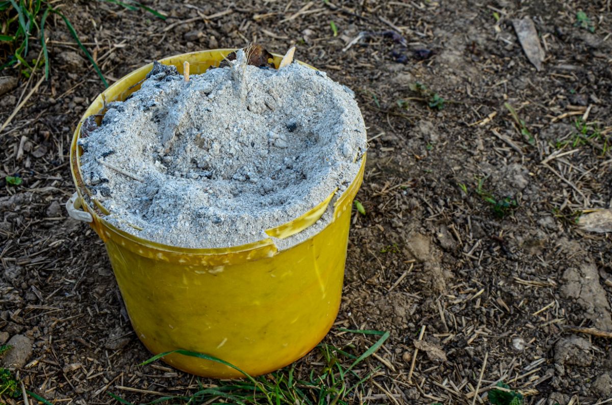 A bucket with cold ash for the garden