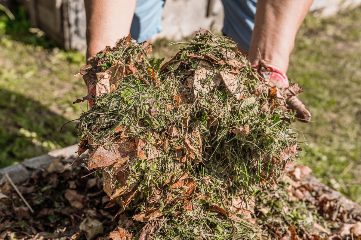 A composter lifting and showing leaves and grasses in the compost bin