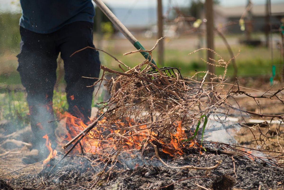 A gardener burning a pile of brush and debris