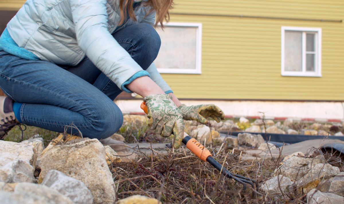 a gardener maintaining her garden bed